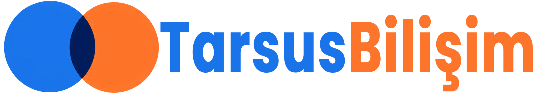 Tarsus Web Tasarım, Bilgisayar Tamiri, Format ve IT Hizmetleri | Tarsus Bilişim